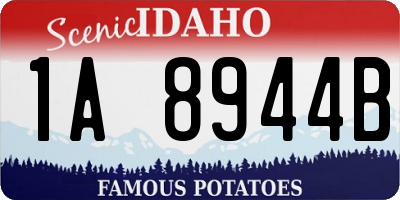 ID license plate 1A8944B