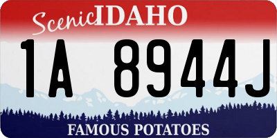 ID license plate 1A8944J