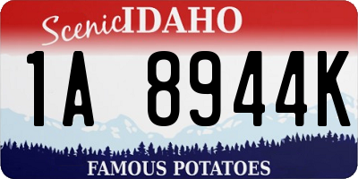 ID license plate 1A8944K