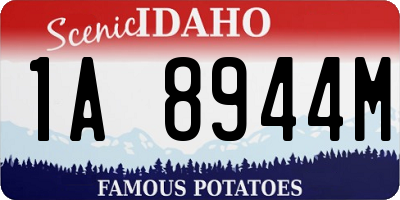 ID license plate 1A8944M