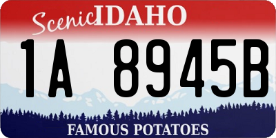 ID license plate 1A8945B