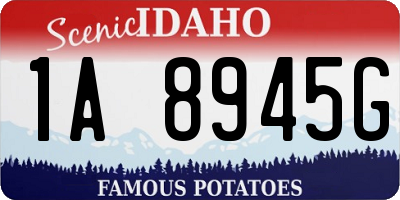 ID license plate 1A8945G