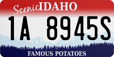 ID license plate 1A8945S