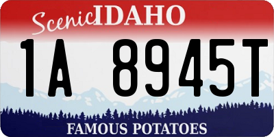 ID license plate 1A8945T