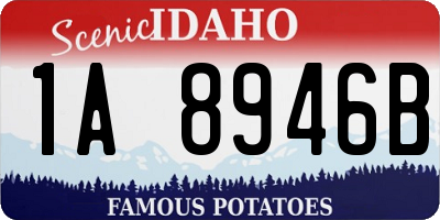 ID license plate 1A8946B