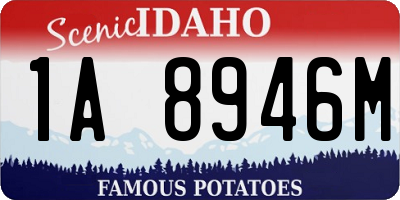 ID license plate 1A8946M