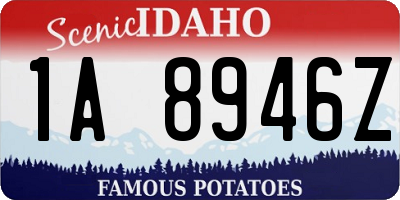 ID license plate 1A8946Z