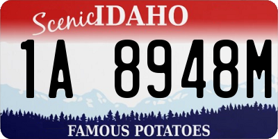 ID license plate 1A8948M