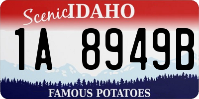 ID license plate 1A8949B