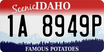 ID license plate 1A8949P