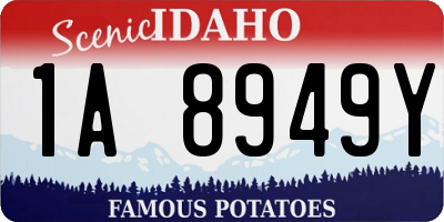 ID license plate 1A8949Y