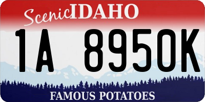 ID license plate 1A8950K