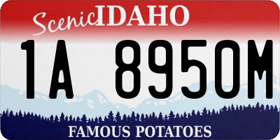ID license plate 1A8950M