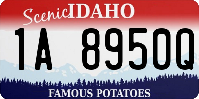 ID license plate 1A8950Q
