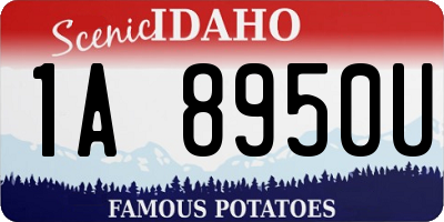 ID license plate 1A8950U