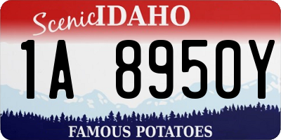 ID license plate 1A8950Y