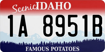 ID license plate 1A8951B