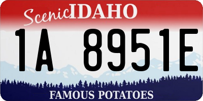 ID license plate 1A8951E