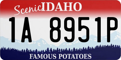 ID license plate 1A8951P