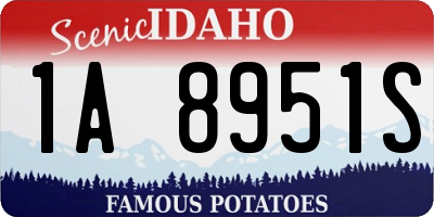 ID license plate 1A8951S