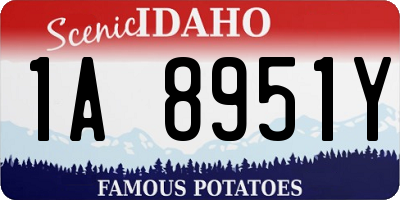 ID license plate 1A8951Y