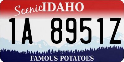 ID license plate 1A8951Z