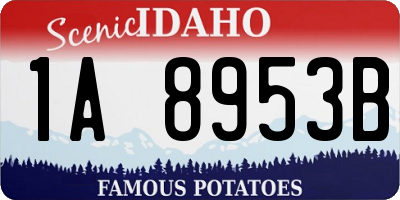 ID license plate 1A8953B