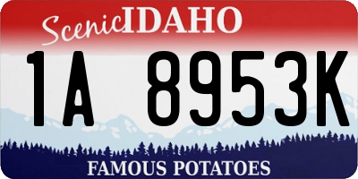 ID license plate 1A8953K