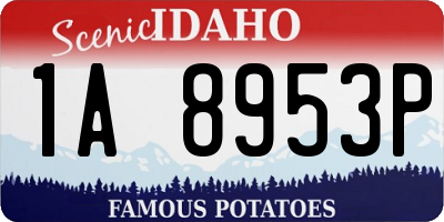 ID license plate 1A8953P