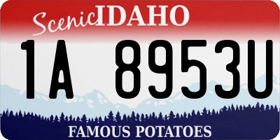 ID license plate 1A8953U