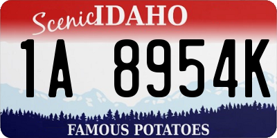 ID license plate 1A8954K