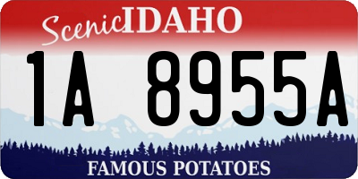 ID license plate 1A8955A