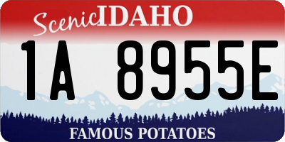 ID license plate 1A8955E