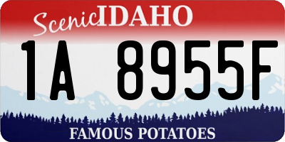 ID license plate 1A8955F