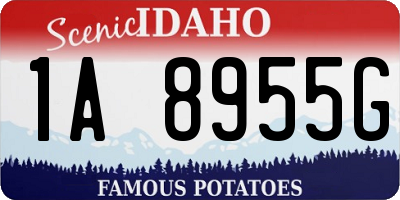 ID license plate 1A8955G