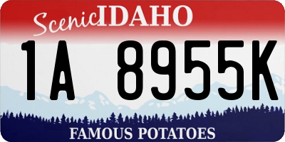 ID license plate 1A8955K