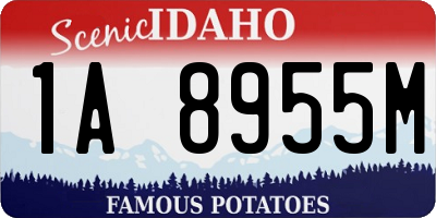 ID license plate 1A8955M