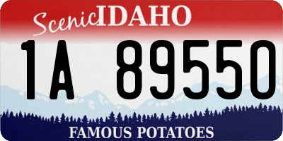 ID license plate 1A8955O
