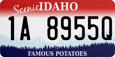 ID license plate 1A8955Q