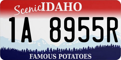 ID license plate 1A8955R
