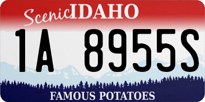 ID license plate 1A8955S