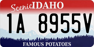 ID license plate 1A8955V