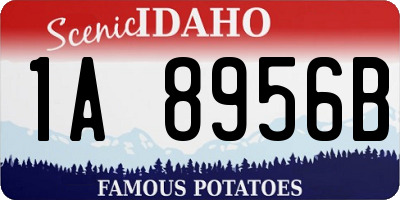 ID license plate 1A8956B