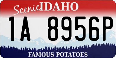 ID license plate 1A8956P
