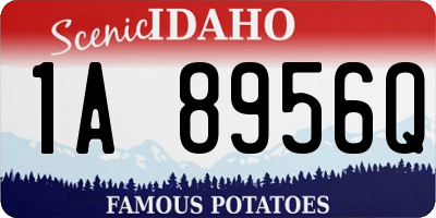 ID license plate 1A8956Q
