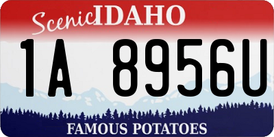 ID license plate 1A8956U