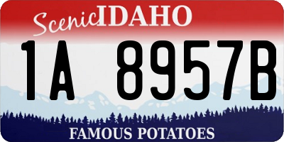 ID license plate 1A8957B