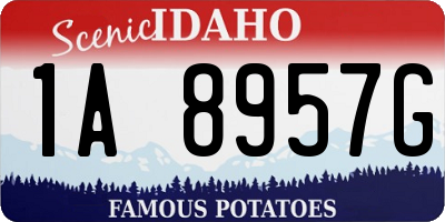 ID license plate 1A8957G