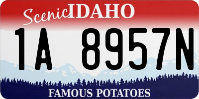 ID license plate 1A8957N