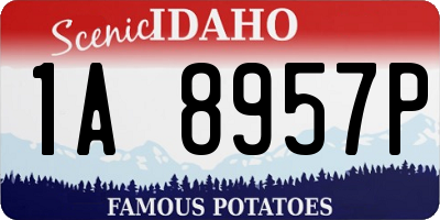 ID license plate 1A8957P